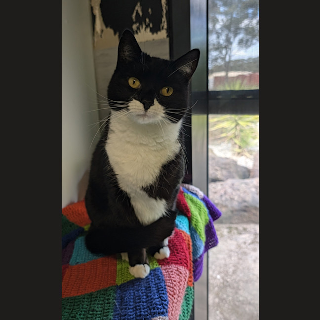Photo of Wednesday