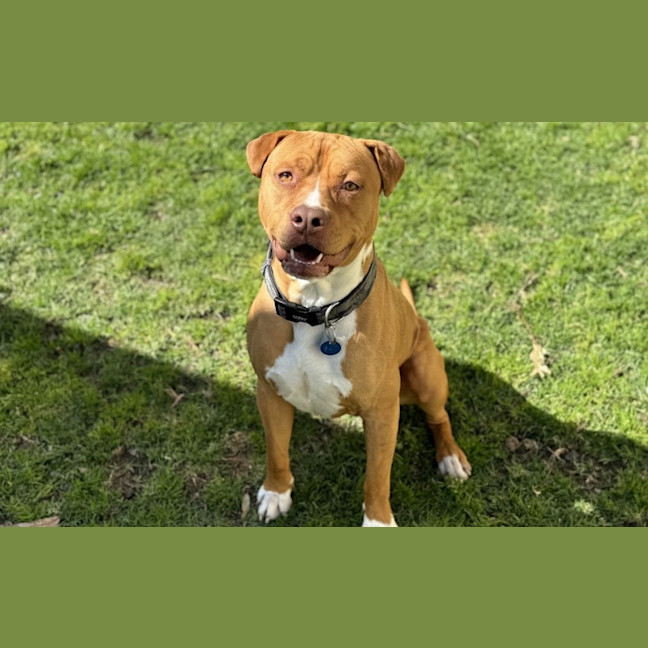 Photo of Duke