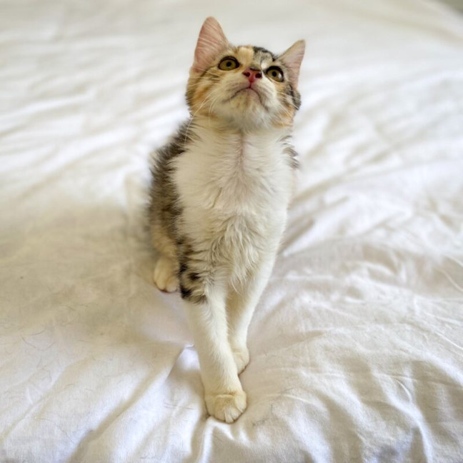 Photo of Alice