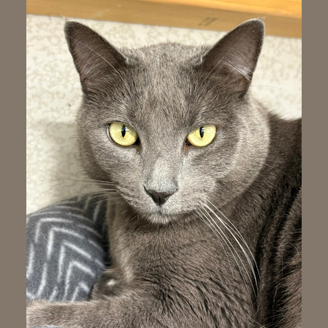 Photo of Norbert