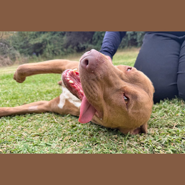 Photo of Missy