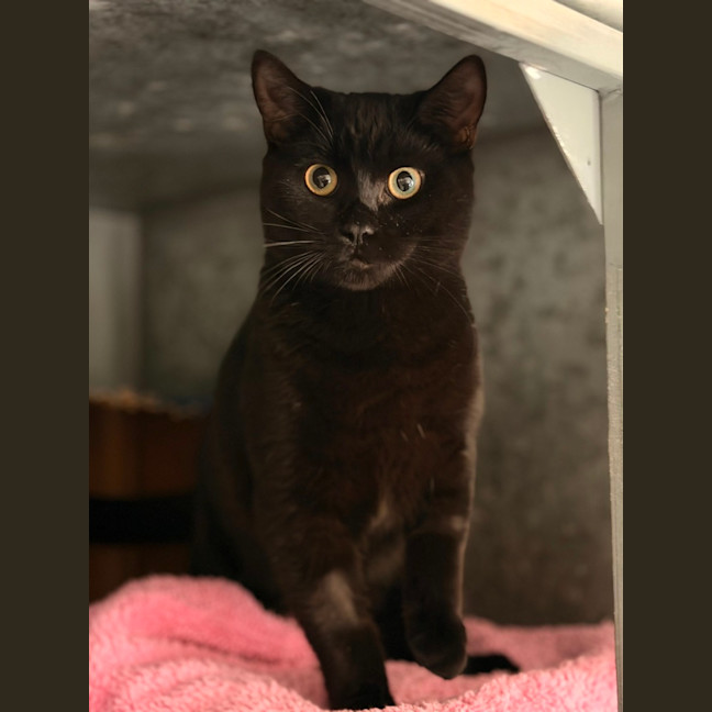Photo of Lenny