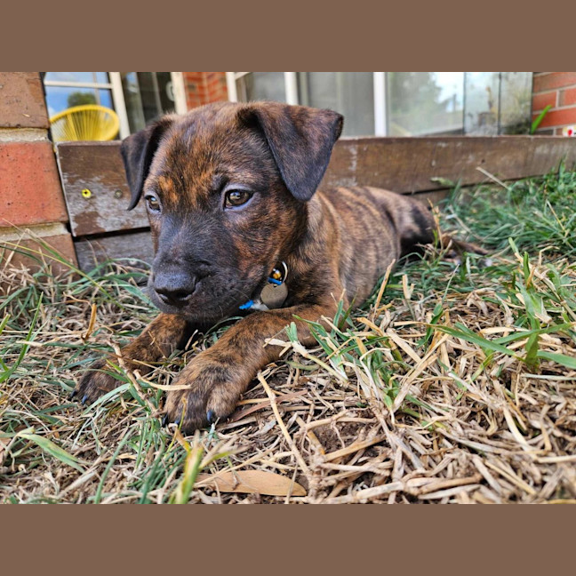 Photo of Emmett