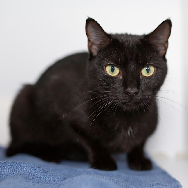 Photo of Mrs. Lovett