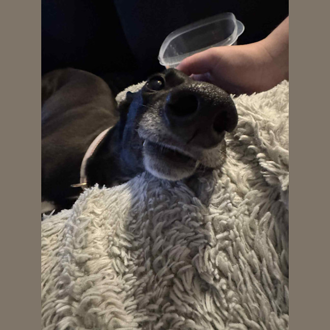 Photo of Tiny