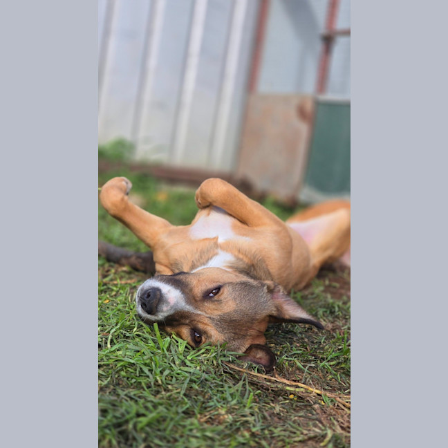 Photo of Edie