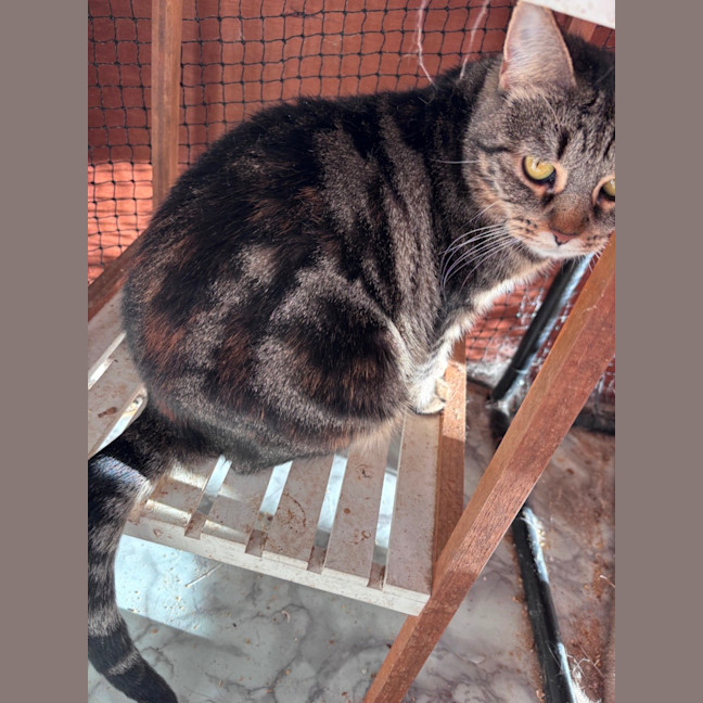 Photo of Hazel