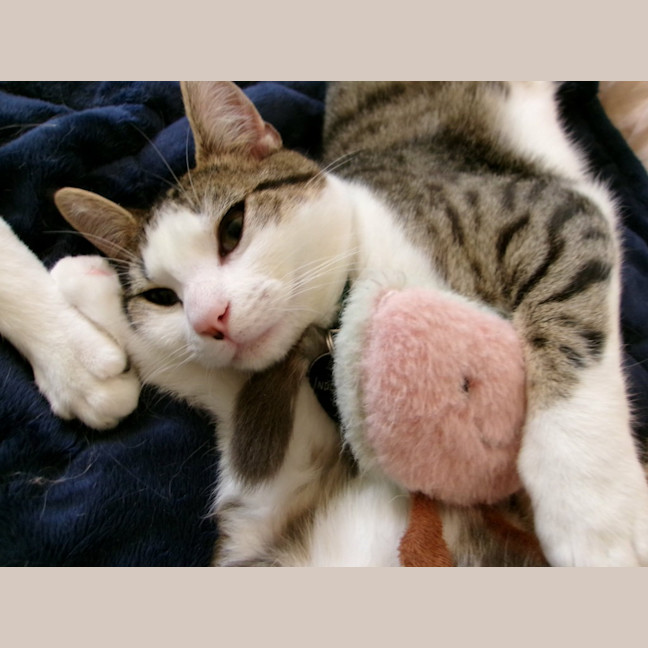 Photo of Marcel
