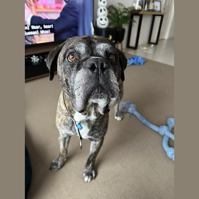 Photo of Zeus