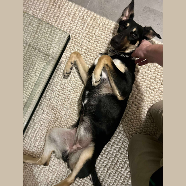 Photo of Dakota