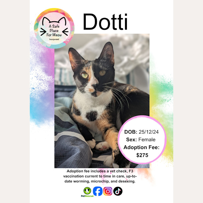 Photo of Dotti