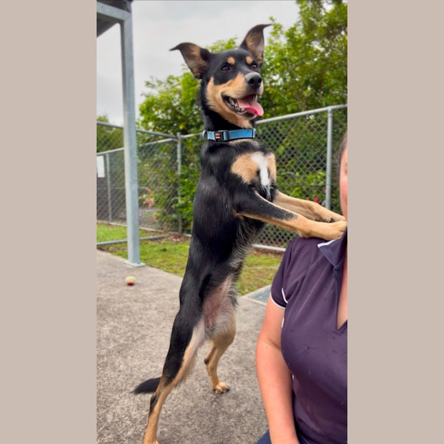 Photo of Kaia