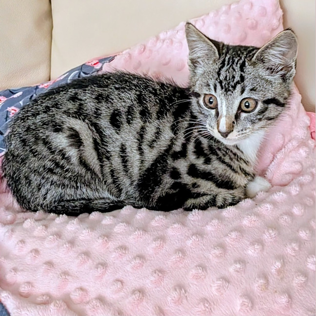 Photo of Timmy