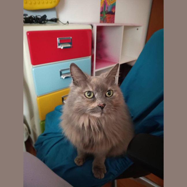 Photo of Matilda 