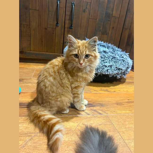 Photo of Binky