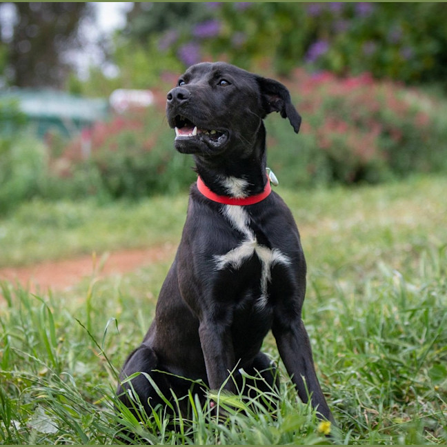 Photo of Tank