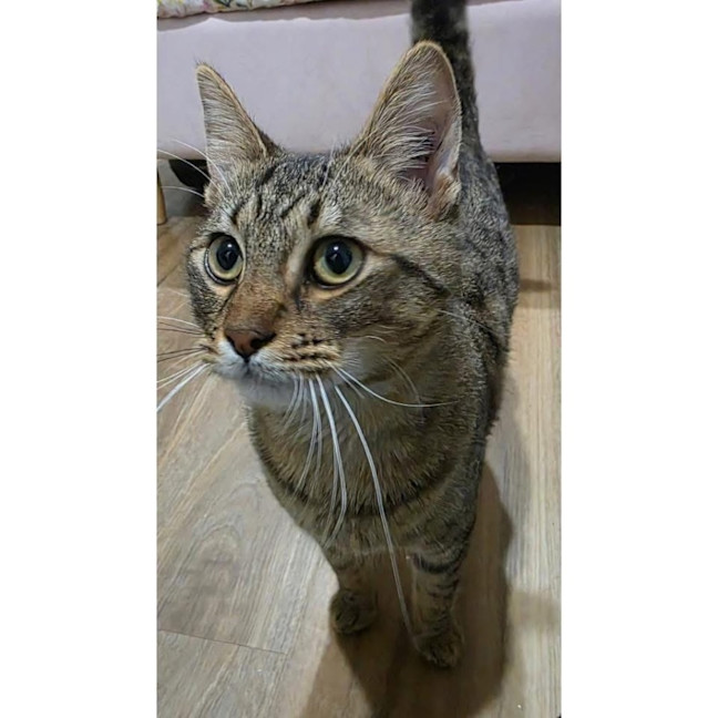 Photo of 14043   Arlo