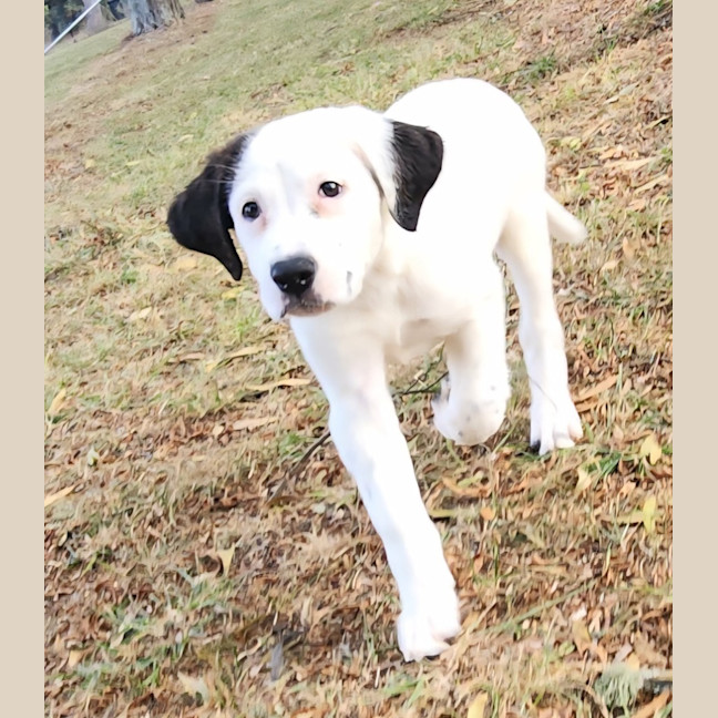 Photo of Dora