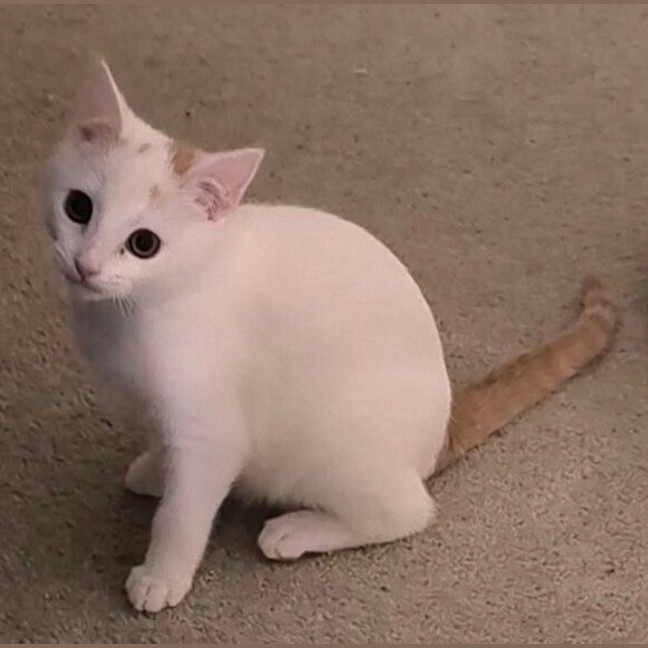 Photo of Bonnie