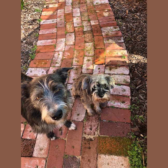 Photo of Winnie