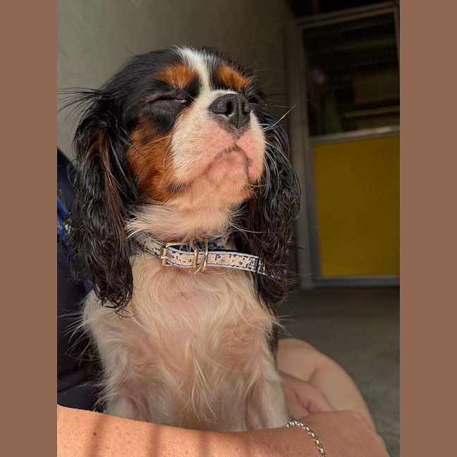 Photo of Nikita