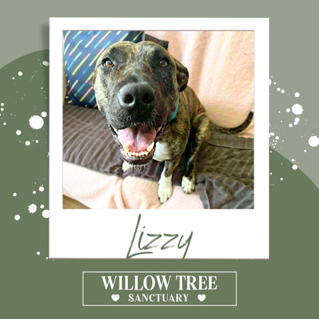 Photo of Lizzy