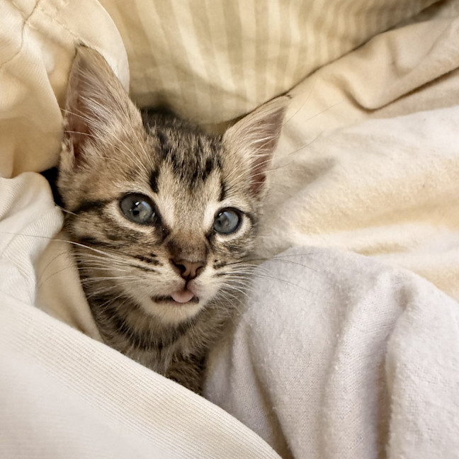 Photo of Hans
