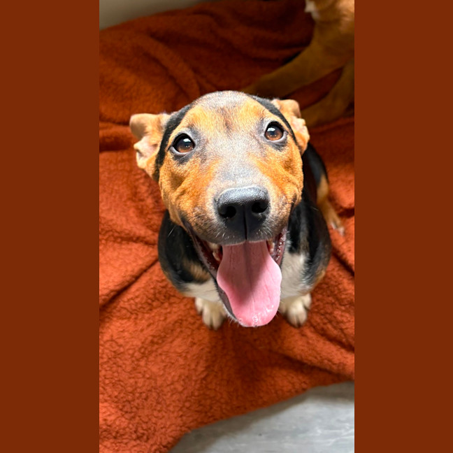Photo of Bagel