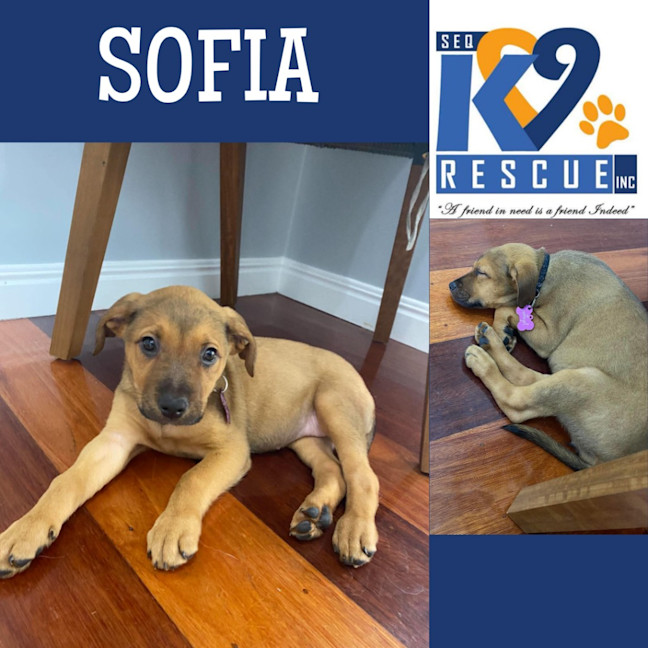 Photo of Sofia