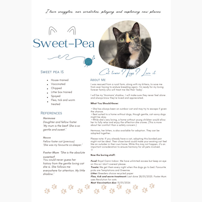Photo of Sweet Pea