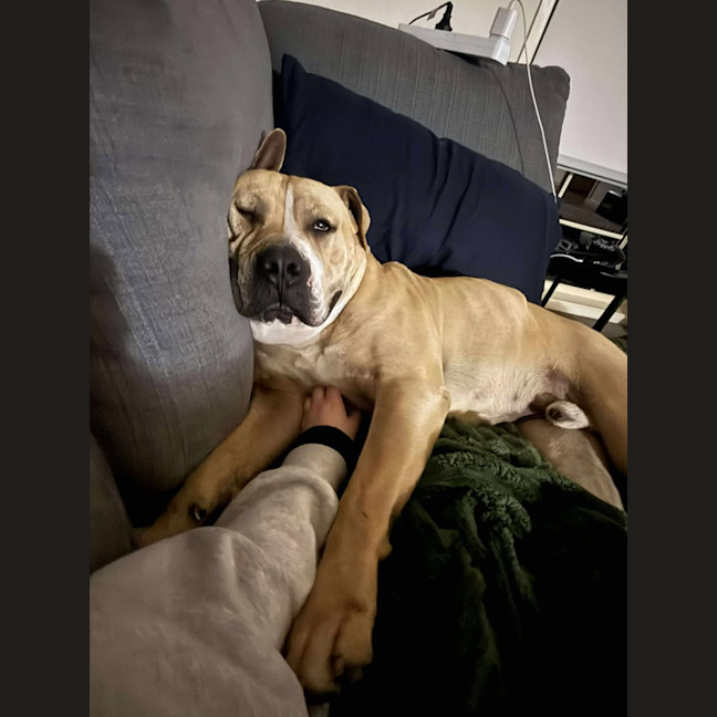 Photo of Butch