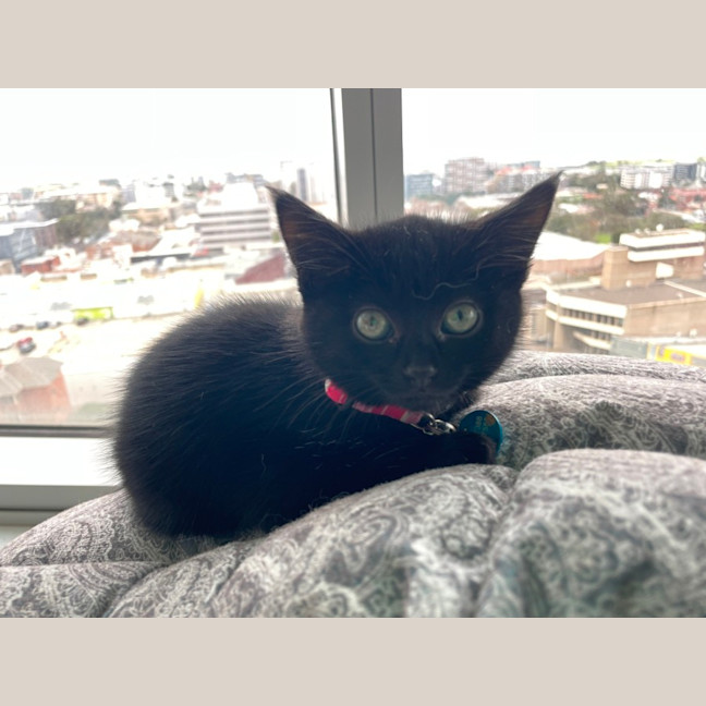 Photo of Bonnie