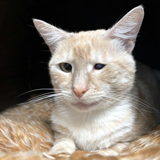 Photo of Pluto Sta012999