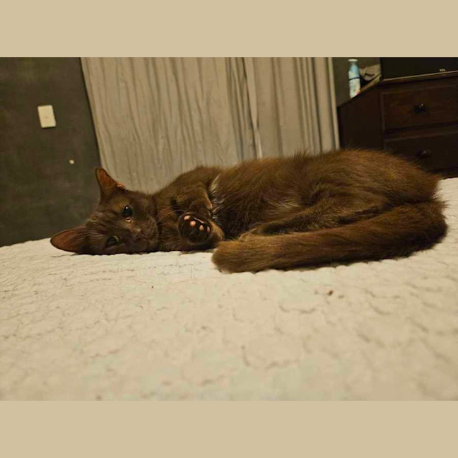 Photo of Trixx Aka Munchie