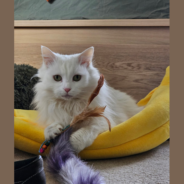 Photo of Olivia