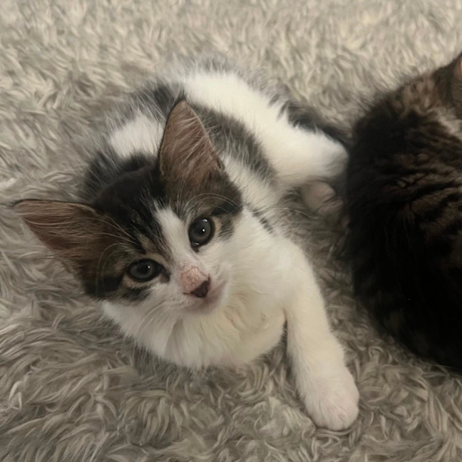 Photo of Audrey 💕