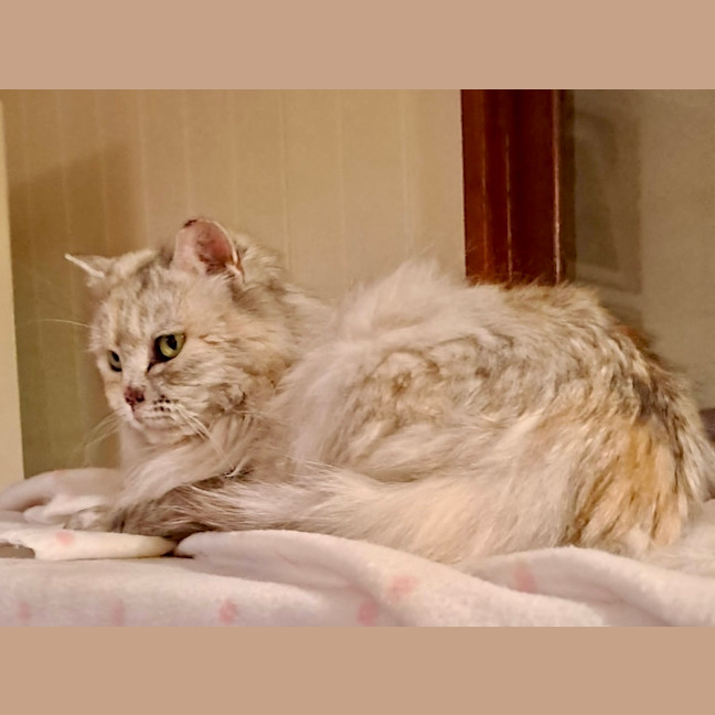 Photo of Angela