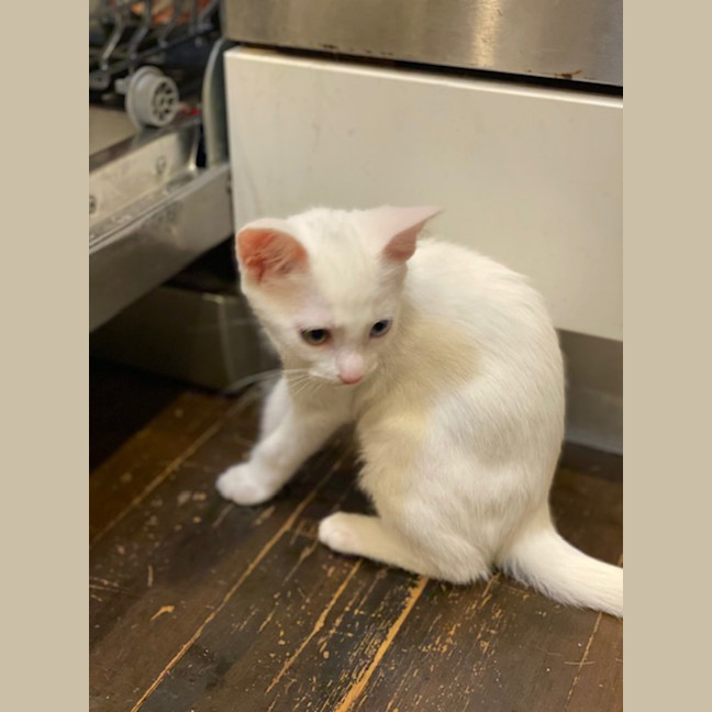 Photo of Peanut Butter