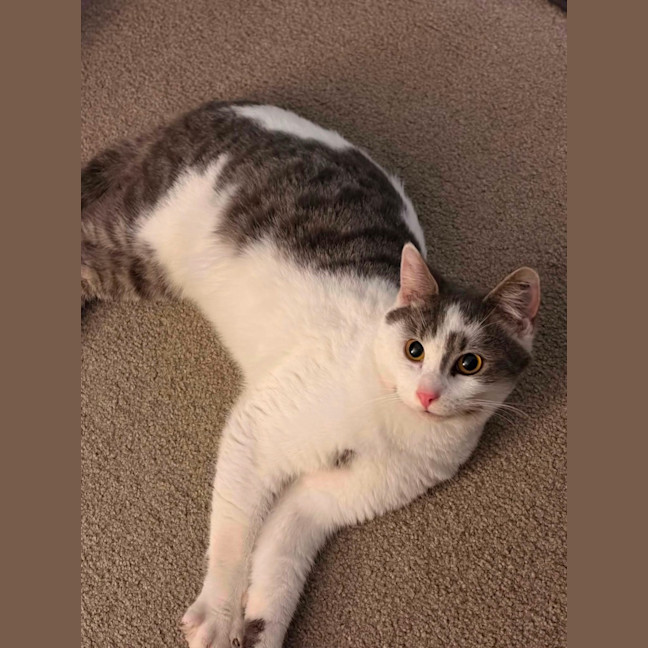 Photo of Alfie