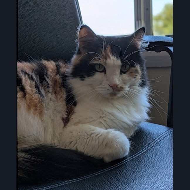 Photo of Cleocatra