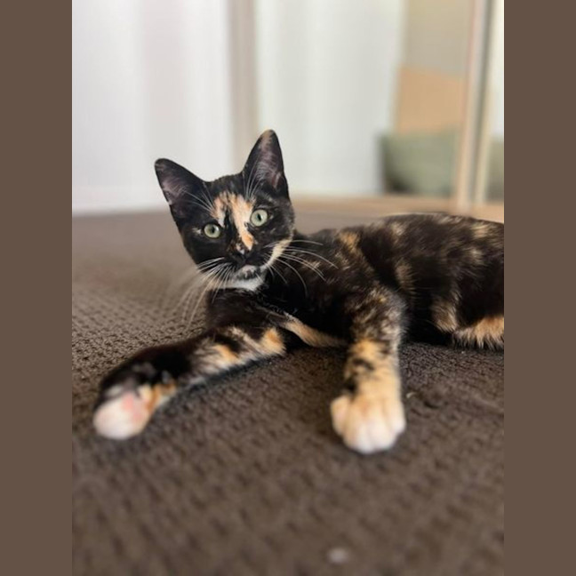 Photo of Marjorie