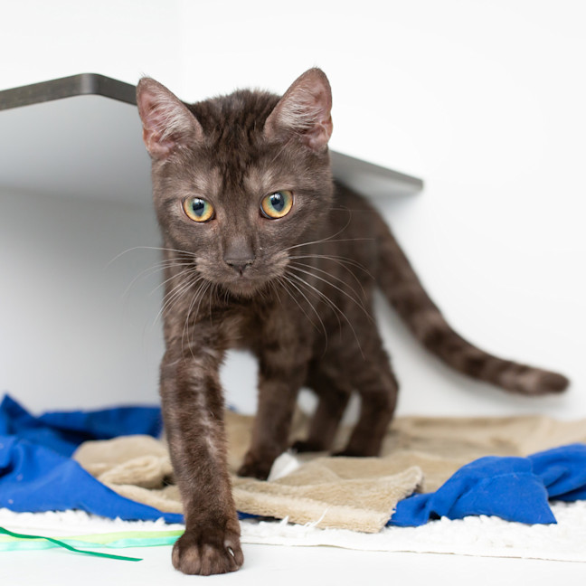 Photo of Taylor Swift (Margot)