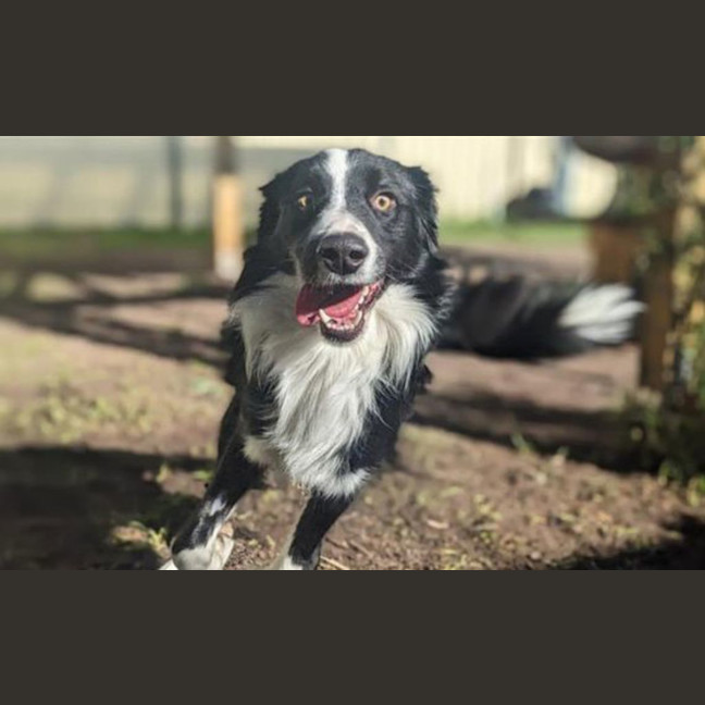 Photo of Brayden