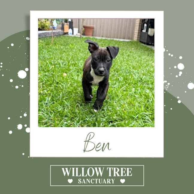 Photo of Ben