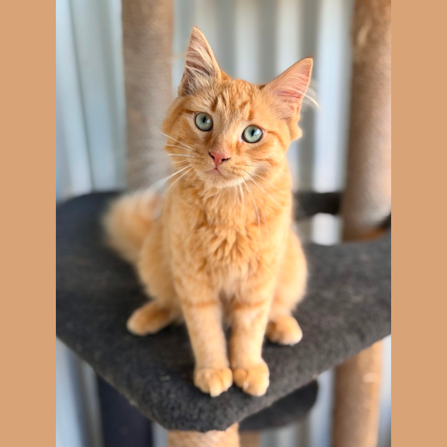 Photo of Parker