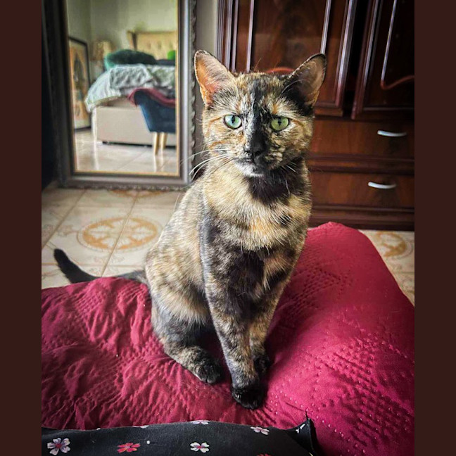 Photo of Marceline