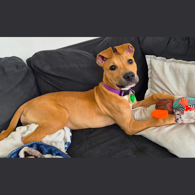 Photo of Matilda
