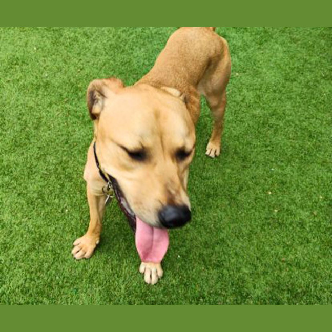 Photo of Mike Wheeler