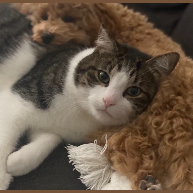 Photo of Monty