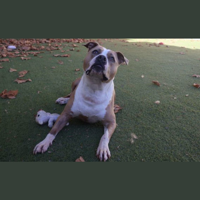 Photo of Clementine